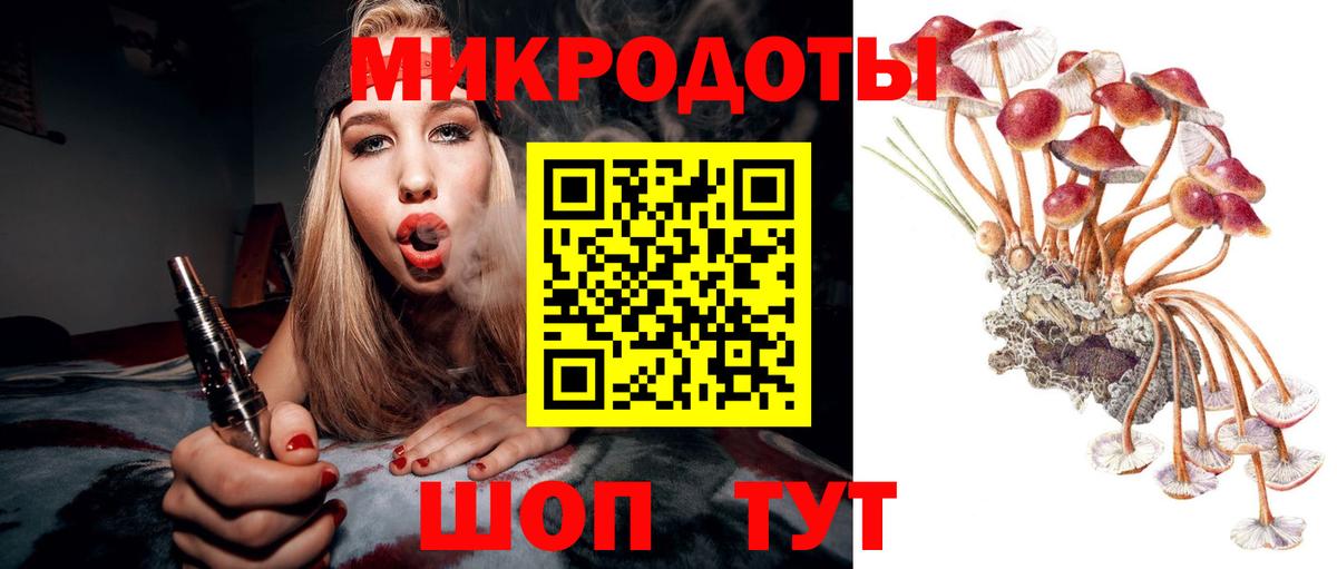 Псилоцибиновые грибы Psilocybine cubensis Электросталь