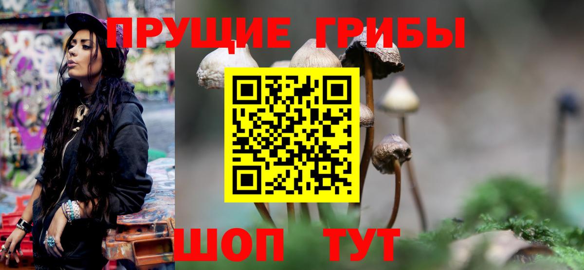 Электросталь  Псилоцибиновые грибы Cubensis  Вход с VPN 